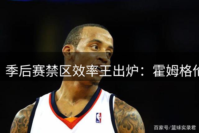 季后赛禁区效率王出炉：霍姆格伦登顶命中率榜首